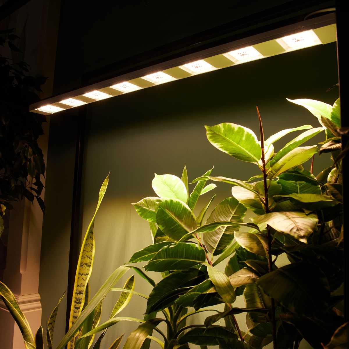 Светильник для растений Uniel ULT-P71B-100W/SPFB/L105 WHITE WINTERGARDEN UL-00011265