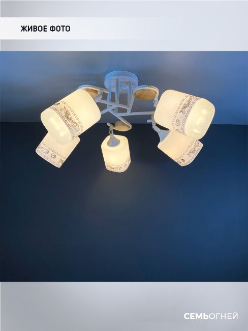 Потолочная люстра Wedo Light Katida WD3550/5C-WT
