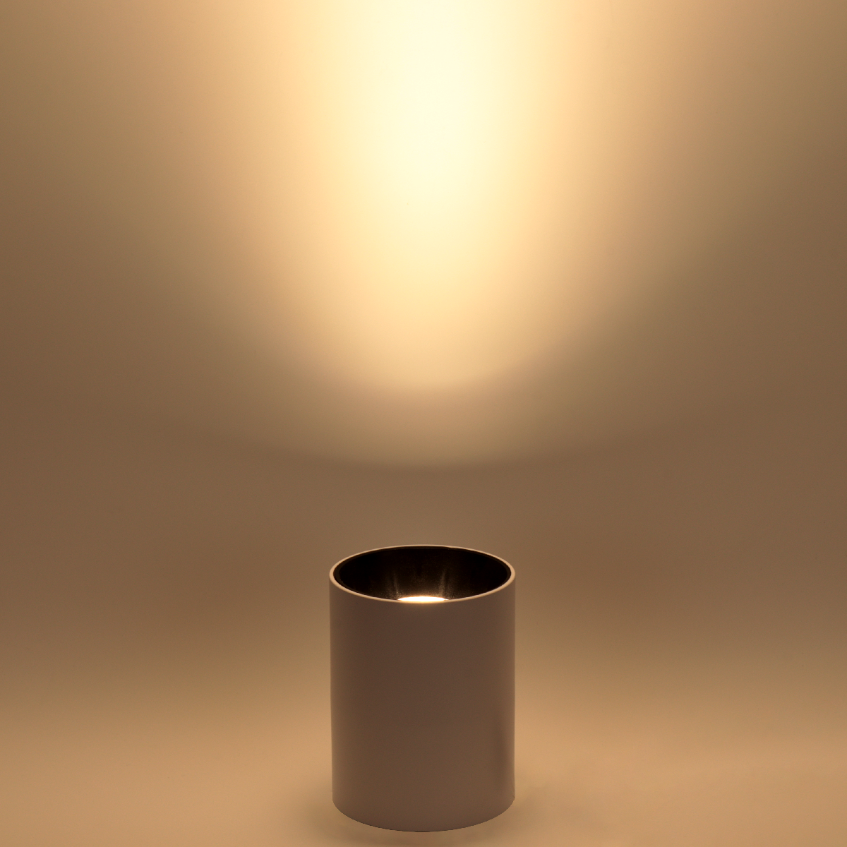 Накладной светильник Ritter Arton 59978 4 УЦ