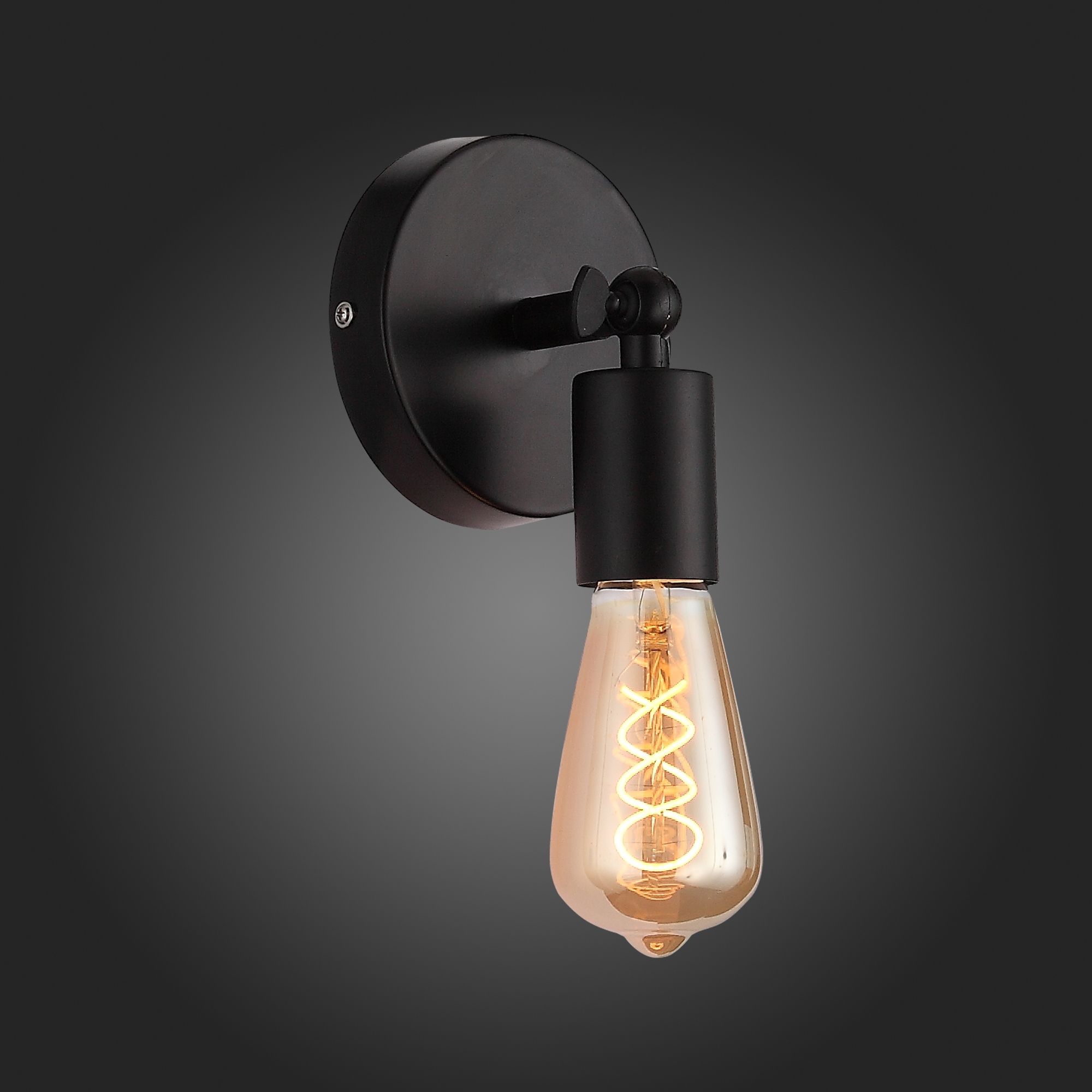 Спот ST Luce Ano SL419.401.01