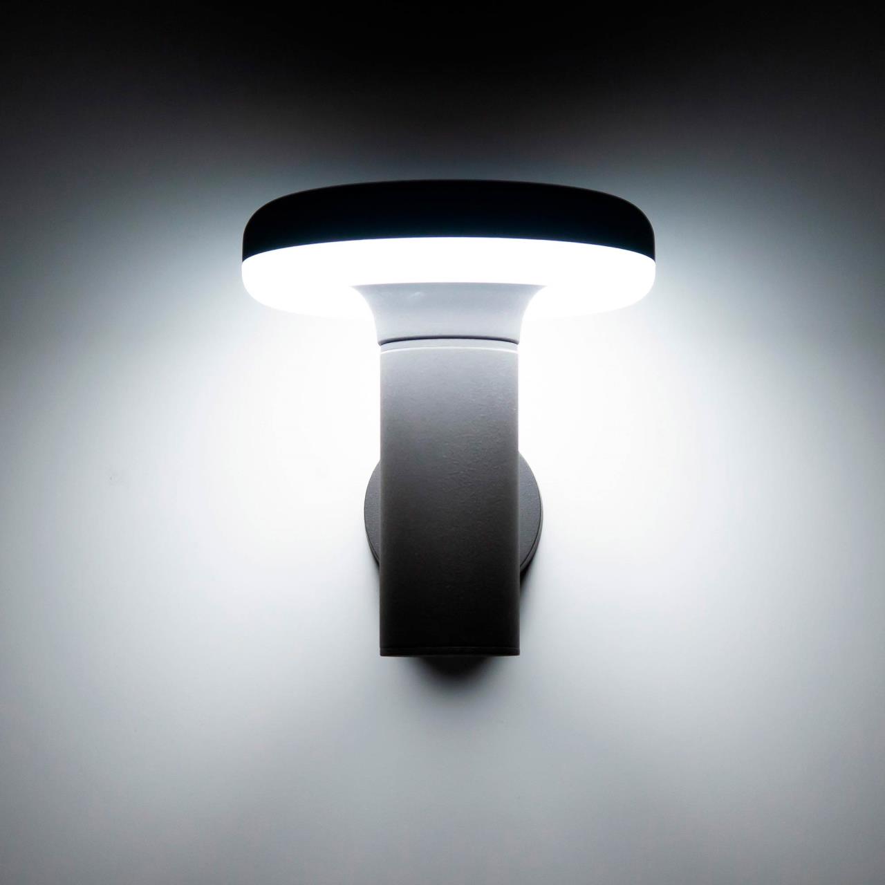 Уличный настенный светодиодный светильник Citilux CLU01W в Москве