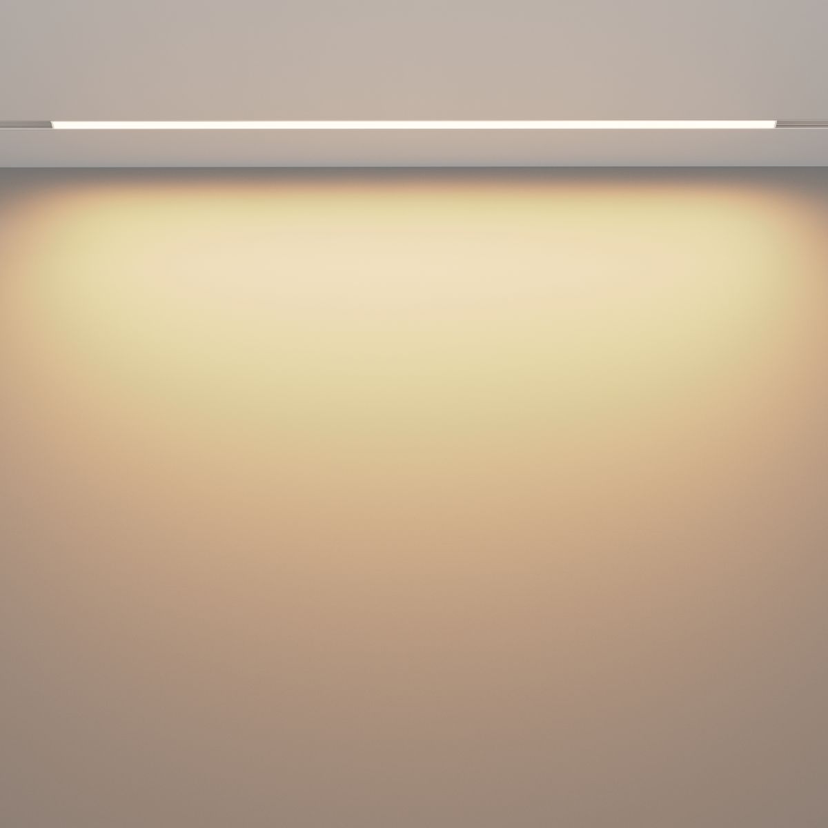 Трековый магнитный светильник Maytoni Basis TR030-4-30W3K-WW-DS-W