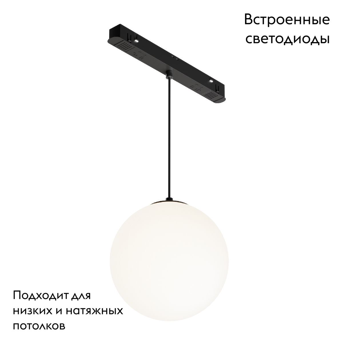 Трековый подвесной светильник Maytoni Luna TR039-2-5W4K