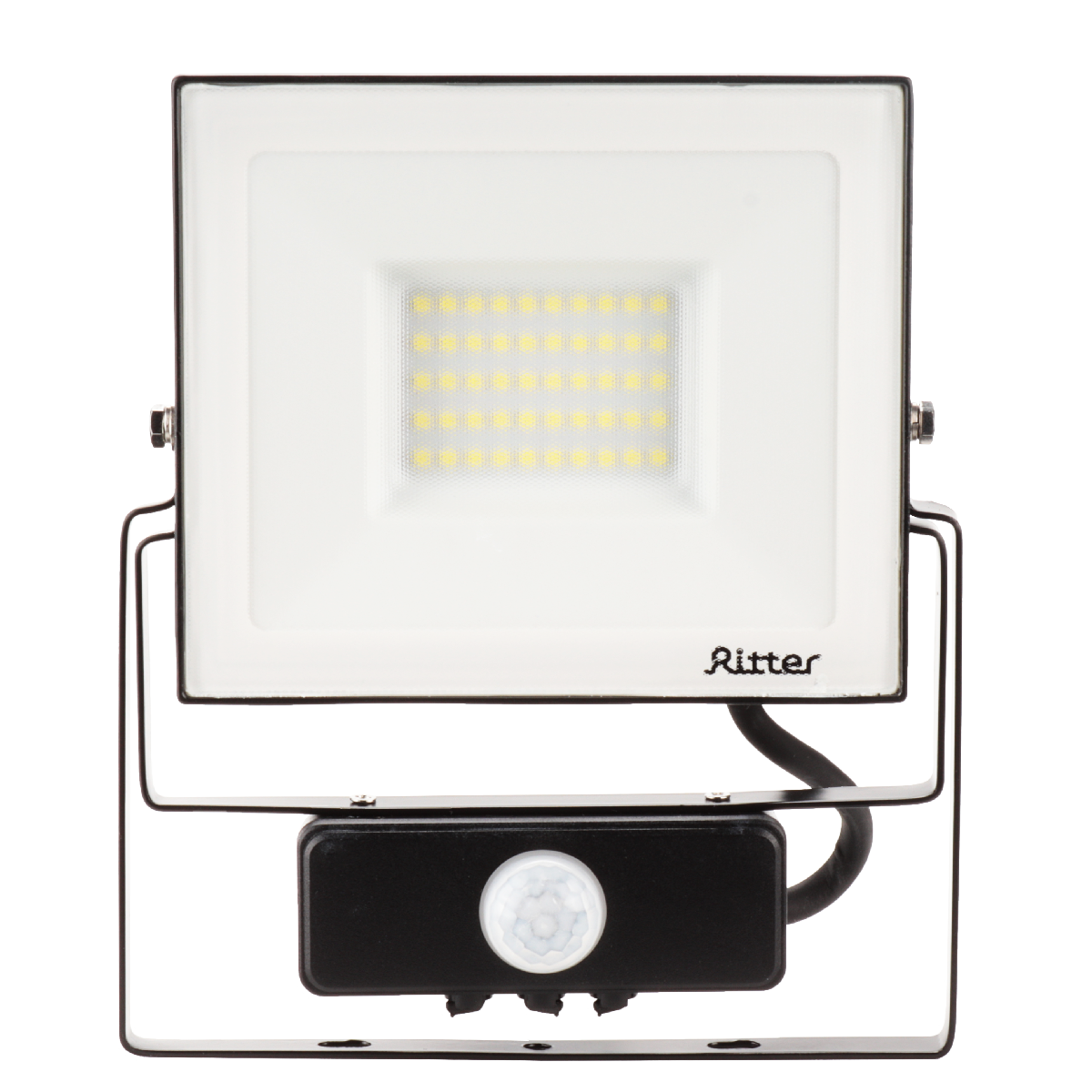 Прожектор Ritter Profi 53421 5