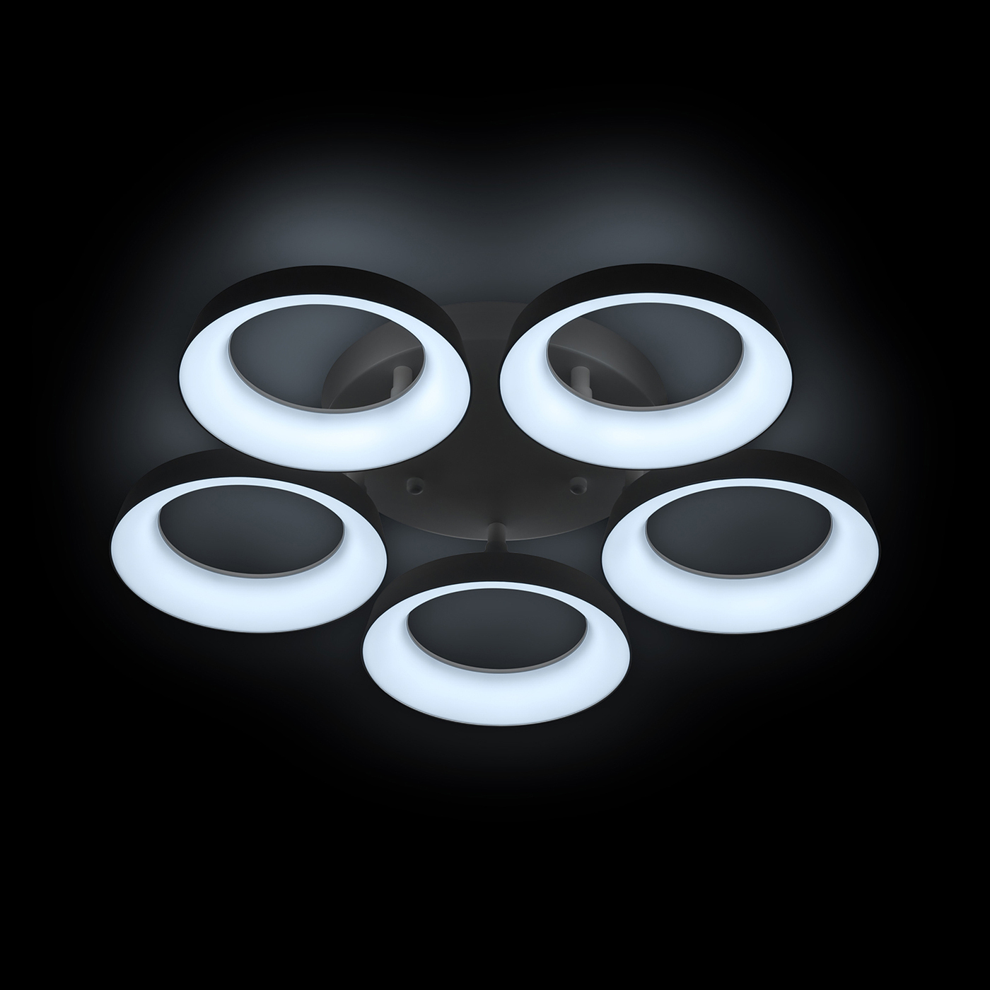 Потолочная люстра Ritter Verona 52013 9