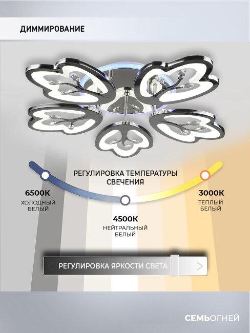 Потолочная люстра Wedo Light Dominica 75306.01.03.05RGB