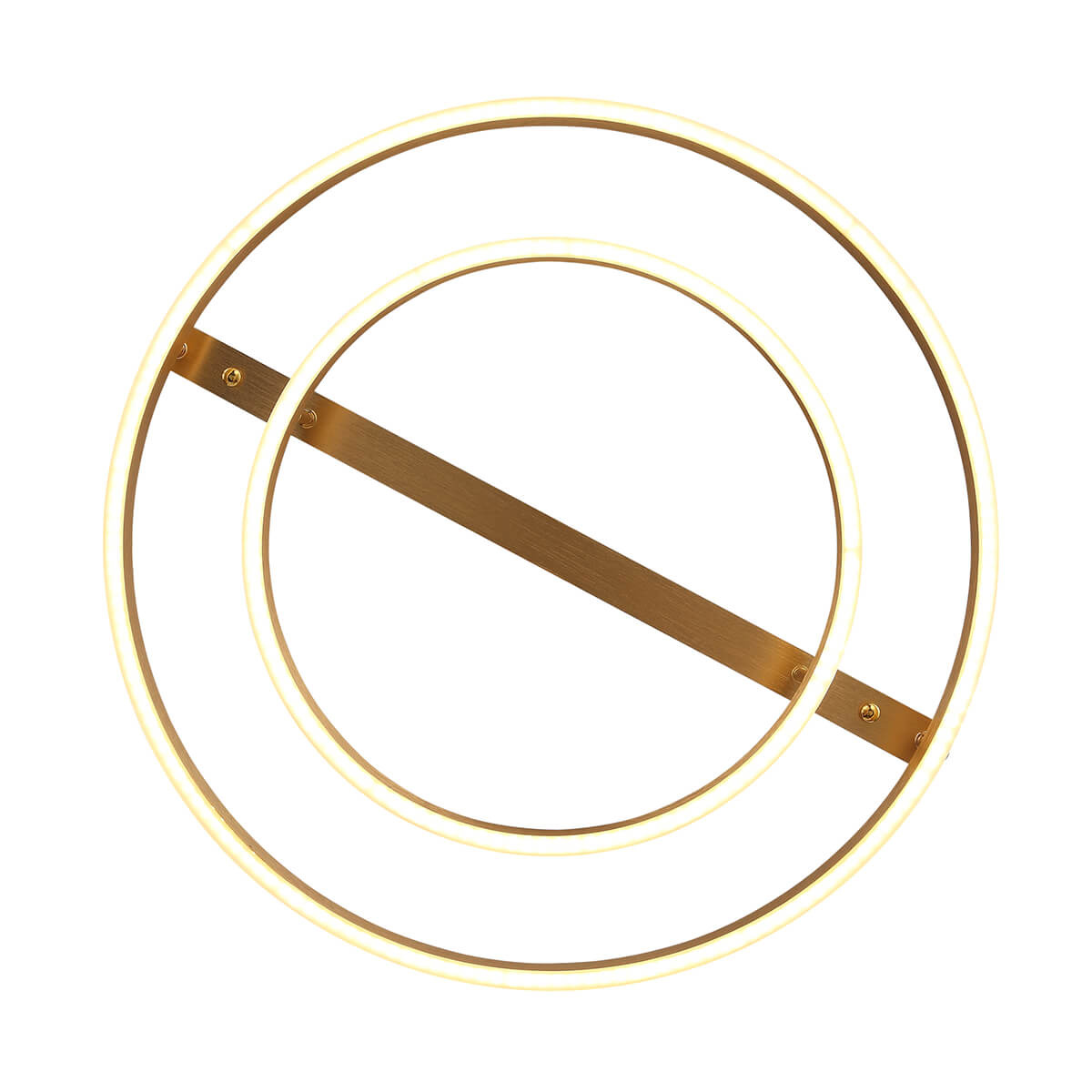 Потолочная светодиодная люстра ST Luce Onze SL944.202.02