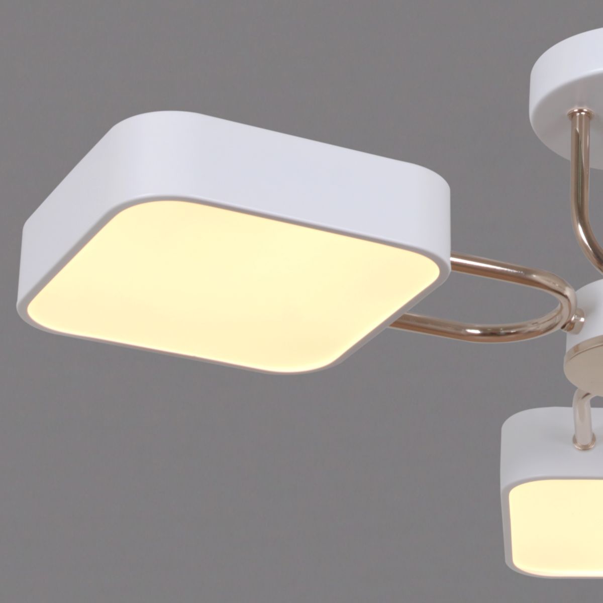 Потолочная люстра Reluce 03362-0.3-05 WH+FGD