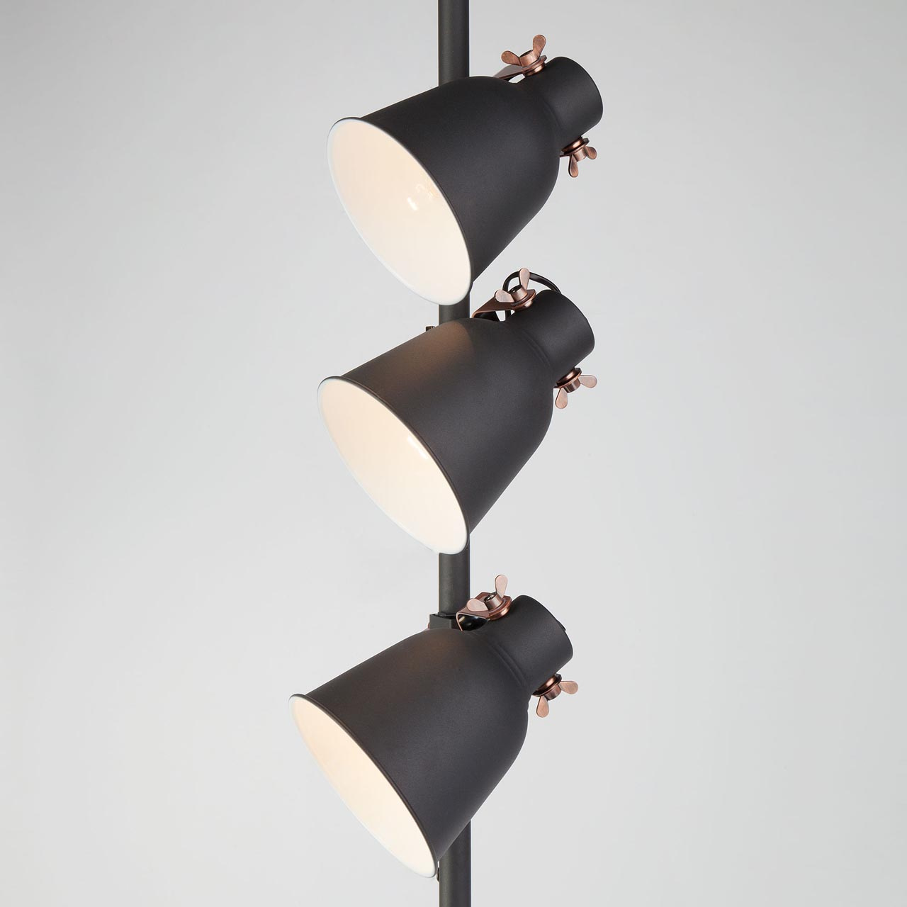 Торшер черный Eurosvet Projector 01031/3 черный