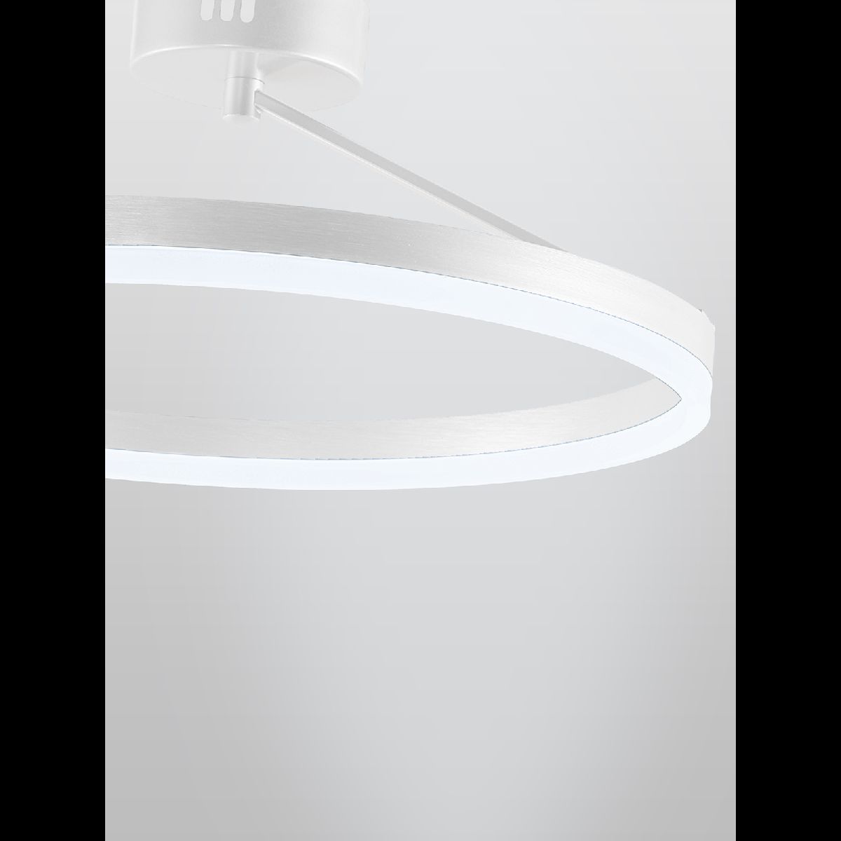 Потолочная люстра Natali Kovaltseva Finam LED LAMPS 81121/1C