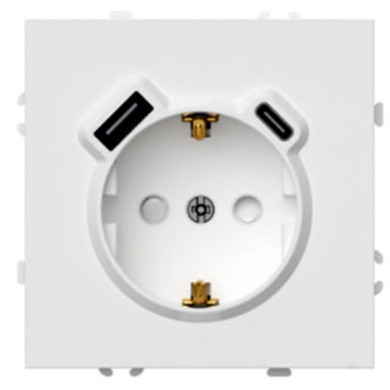 Розетка 1-местная з/ш с/з 16А + USB + Type C (механизм) Stekker Эмили 250В 20W белый фарфор soft-touch RST16-5119-01 50217