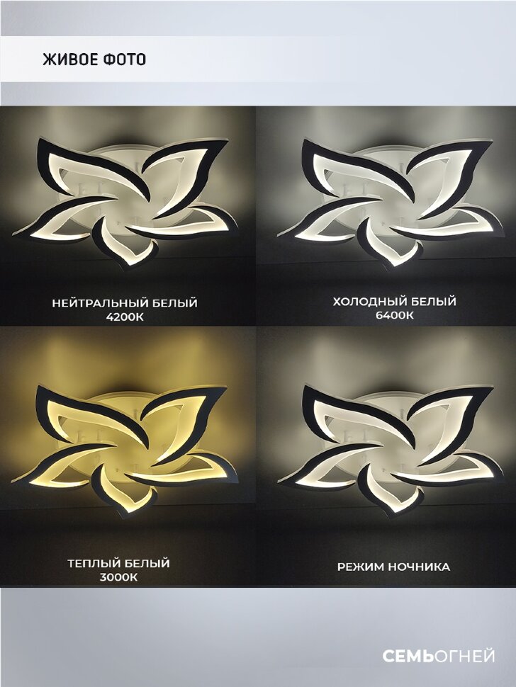 Потолочная люстра Seven Fires Lorens SF5018/6C-WT-RGB