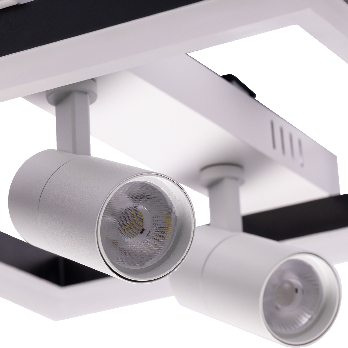 Потолочная люстра Ritter Novita 52093 5