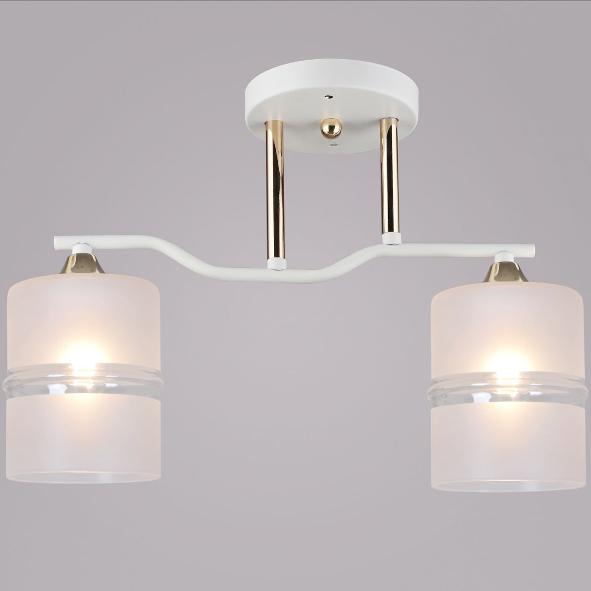 Потолочный светильник Reluce 02283-0.3-02 WT+FGD