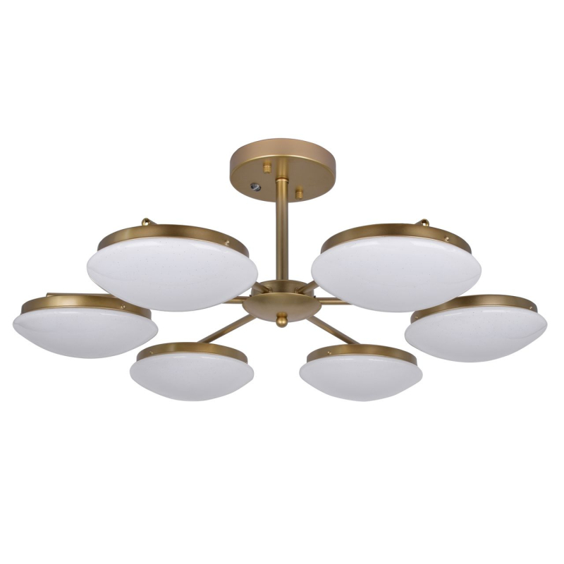 Потолочная светодиодная люстра F-Promo Ledante 2476-6P