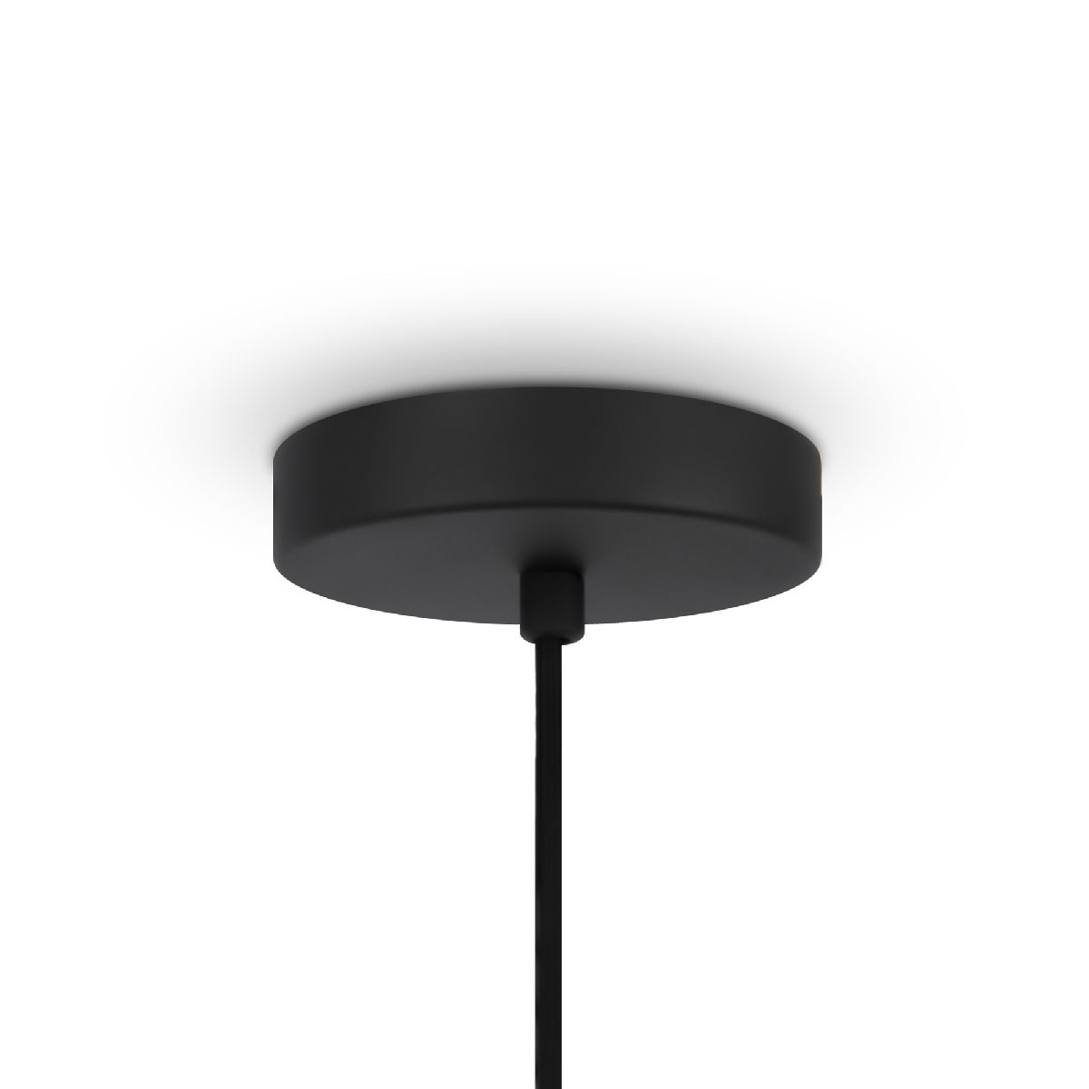 Подвесной светильник Maytoni Roots MOD197PL-01W2