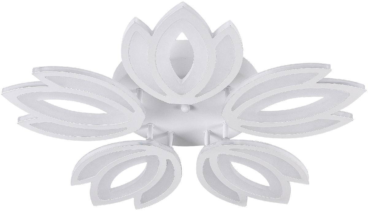 Потолочная люстра Natali Kovaltseva LED LAMPS 81124