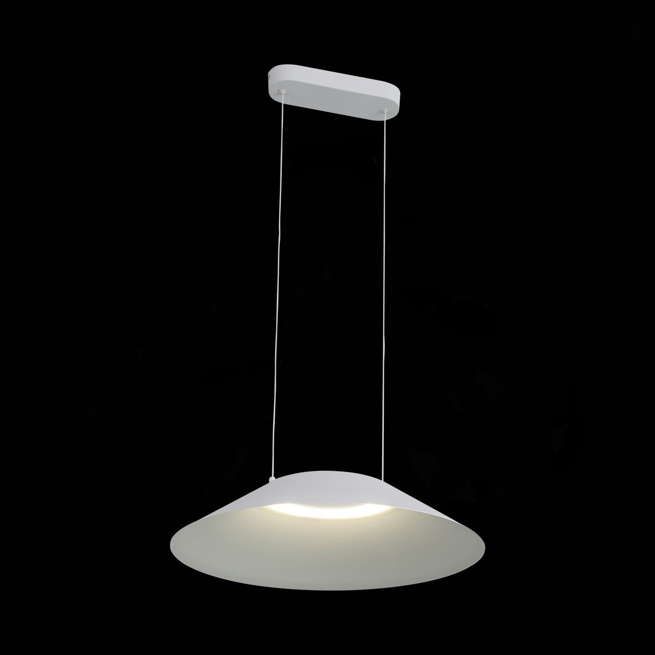 Подвесной светодиодный светильник ST Luce Pitto SL427.513.01