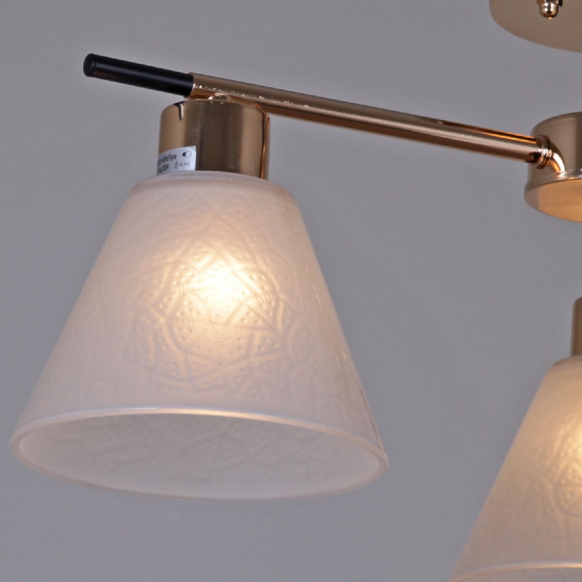 Потолочная люстра Reluce 09112-3.3-03 FG+BK