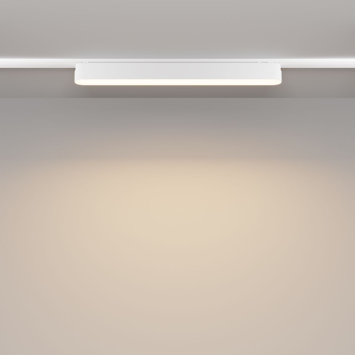 Трековый магнитный светильник Maytoni Basis TR080-1-18W3K-W