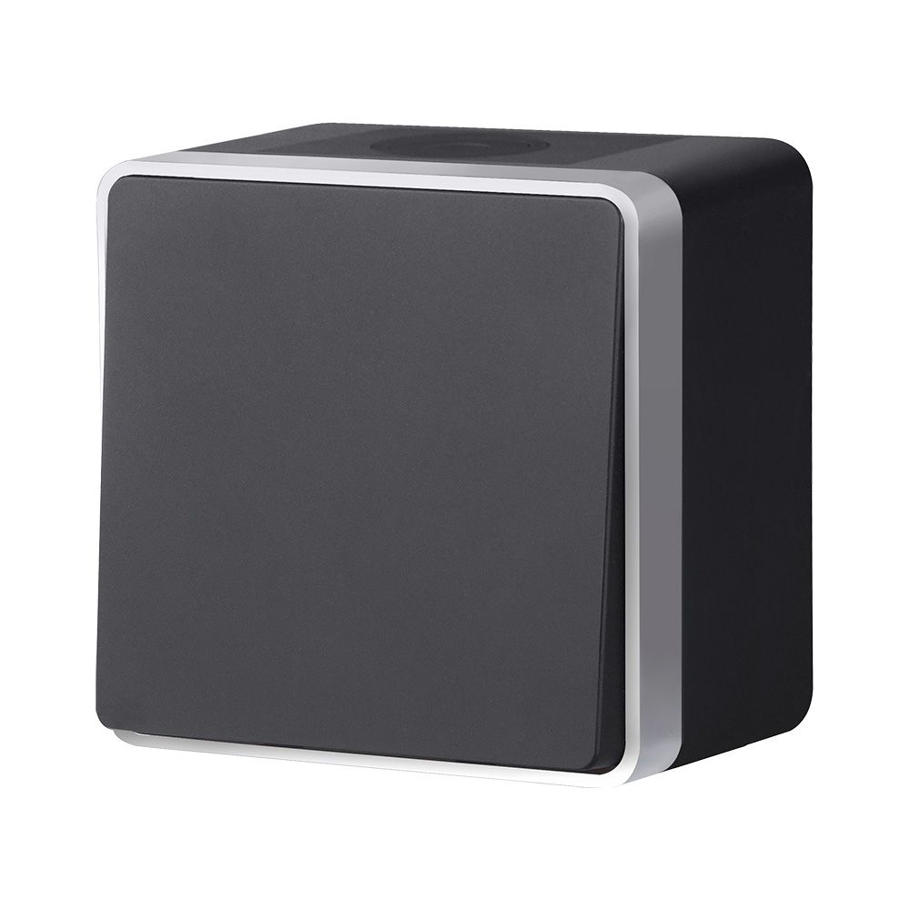 Выключатель одноклавишный влагозащищенный Werkel Gallant (черный с серебром) W5010234 4690389164033 a051164