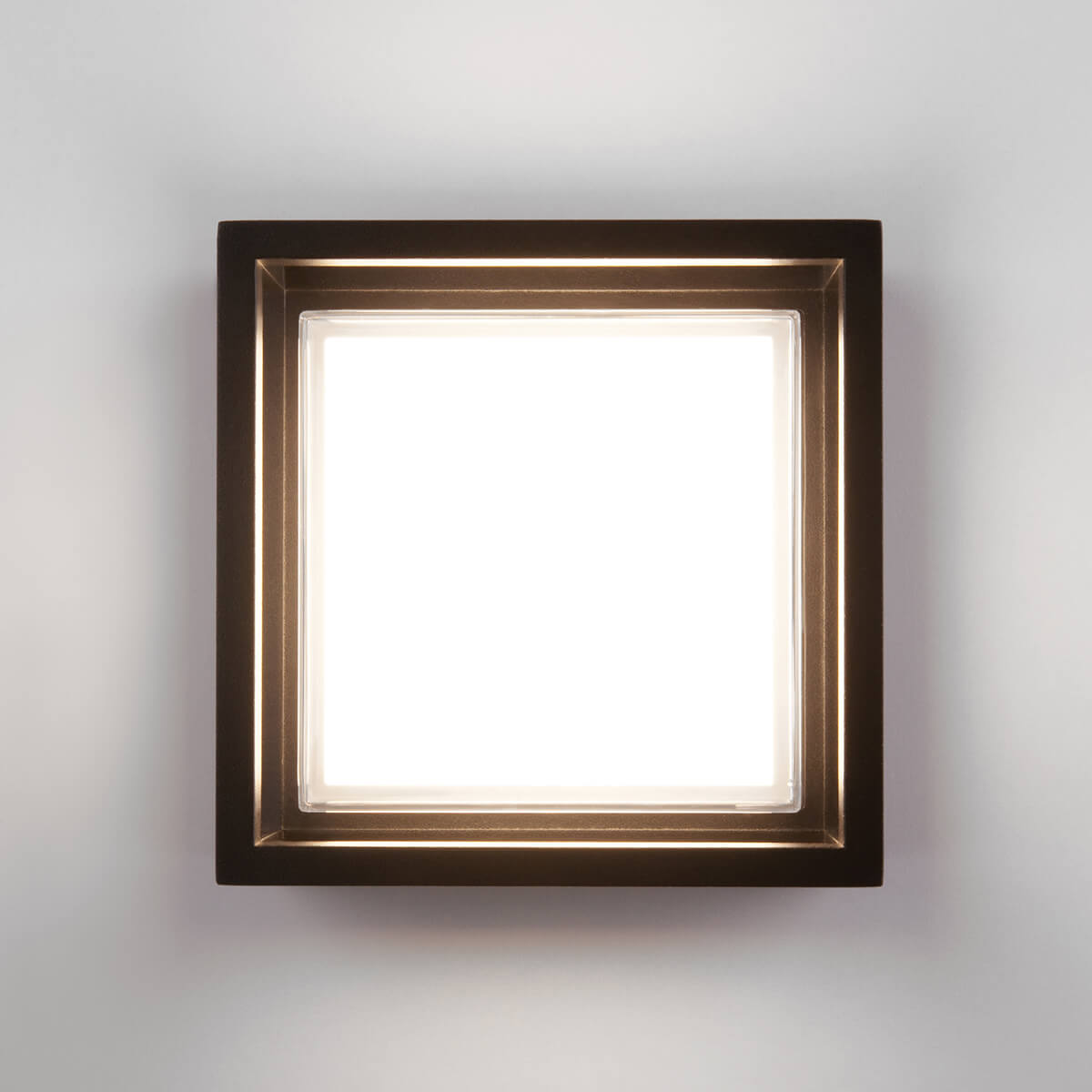 Уличный настенный светодиодный светильник Elektrostandard 1533 Techno Led чёрный 4690389163302