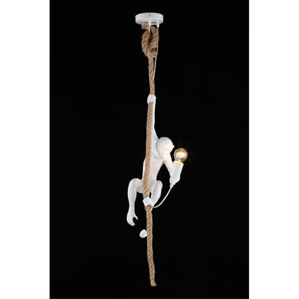 Подвесной светильник Aployt Magali APL.309.06.01