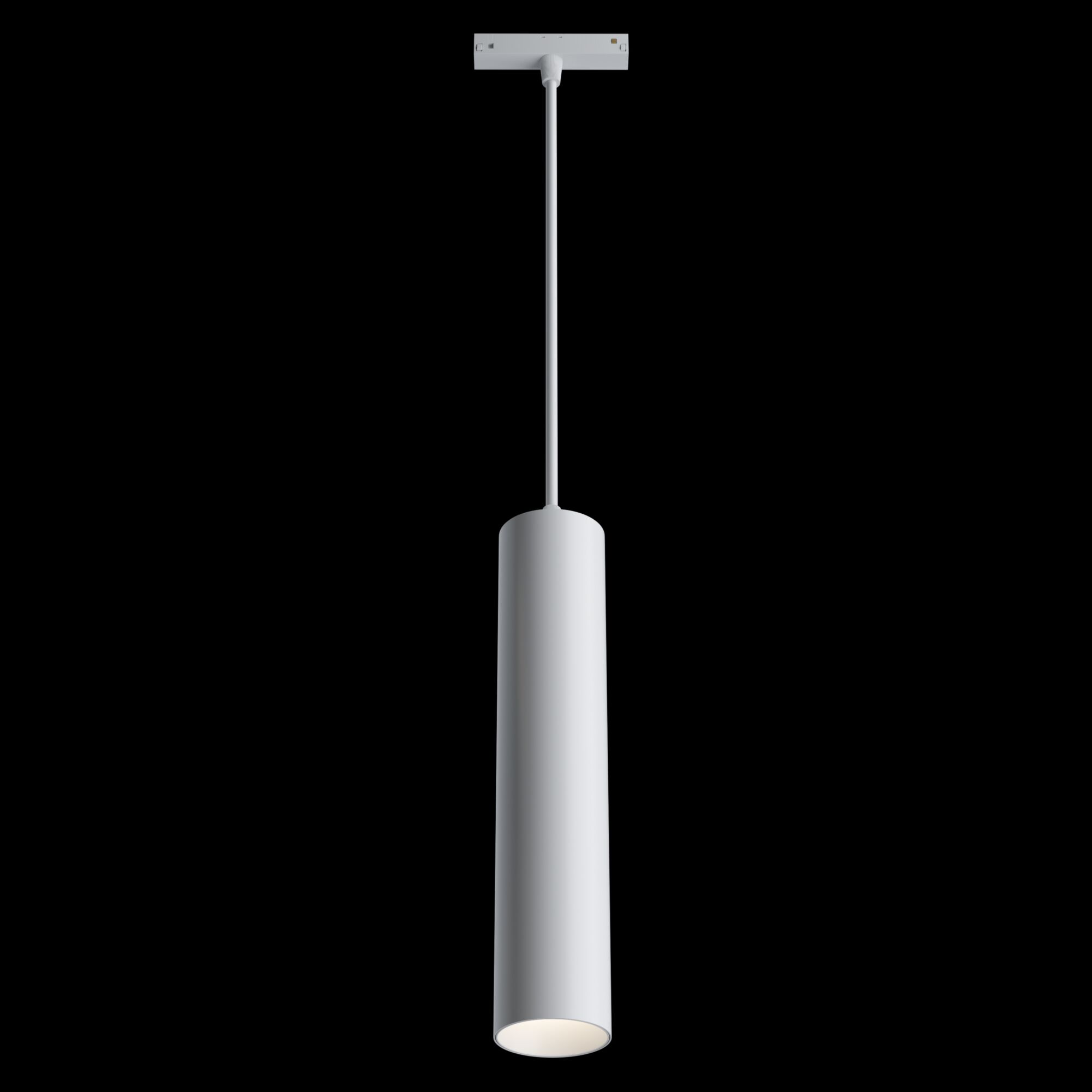 Трековый светильник Maytoni Technical Track lamps TR016-2-12W3K-W