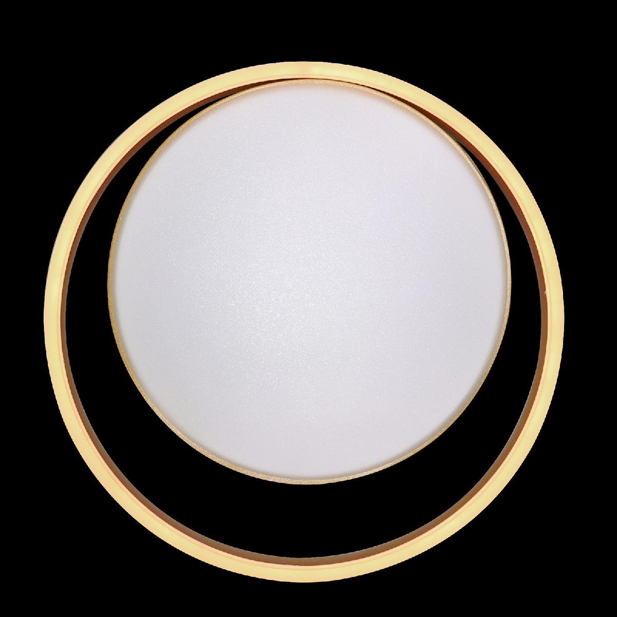 Потолочная люстра Natali Kovaltseva LED LAMPS 81304