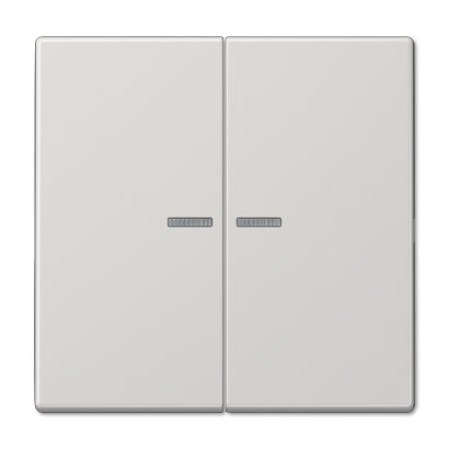 Клавиша 2-ная с 2-мя линзами Jung LS990 LS995KO5LG