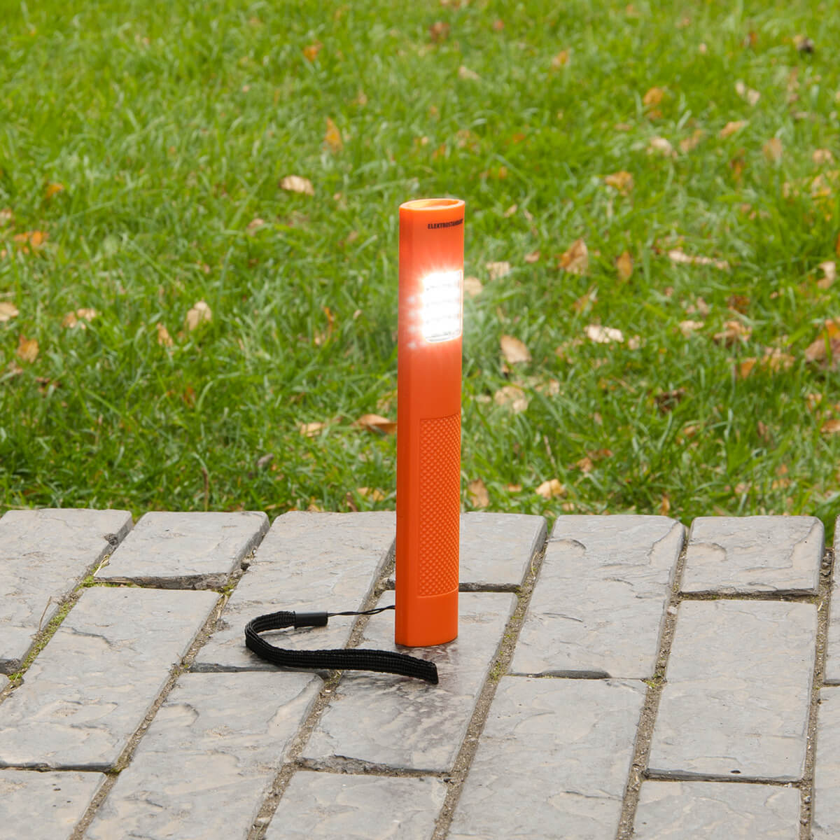 Автомобильный светодиодный фонарь Elektrostandard Sloter от батареек 170х28 35 лм 4690389087783