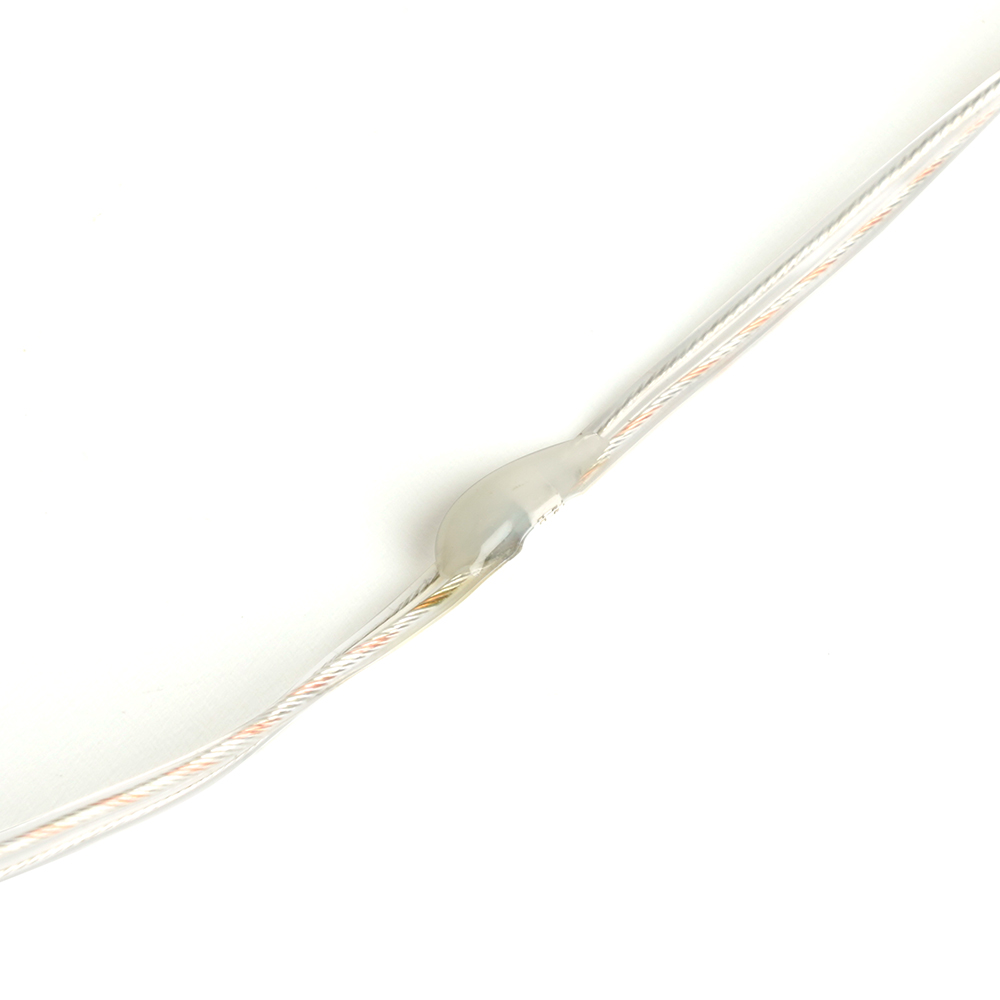 Светодиодная гирлянда линейная Роса Feron CL577 48618