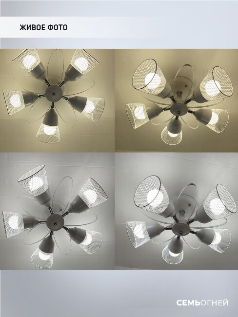 Люстра на штанге Wedo Light Berat WD3525/5C-WT-CR-WT