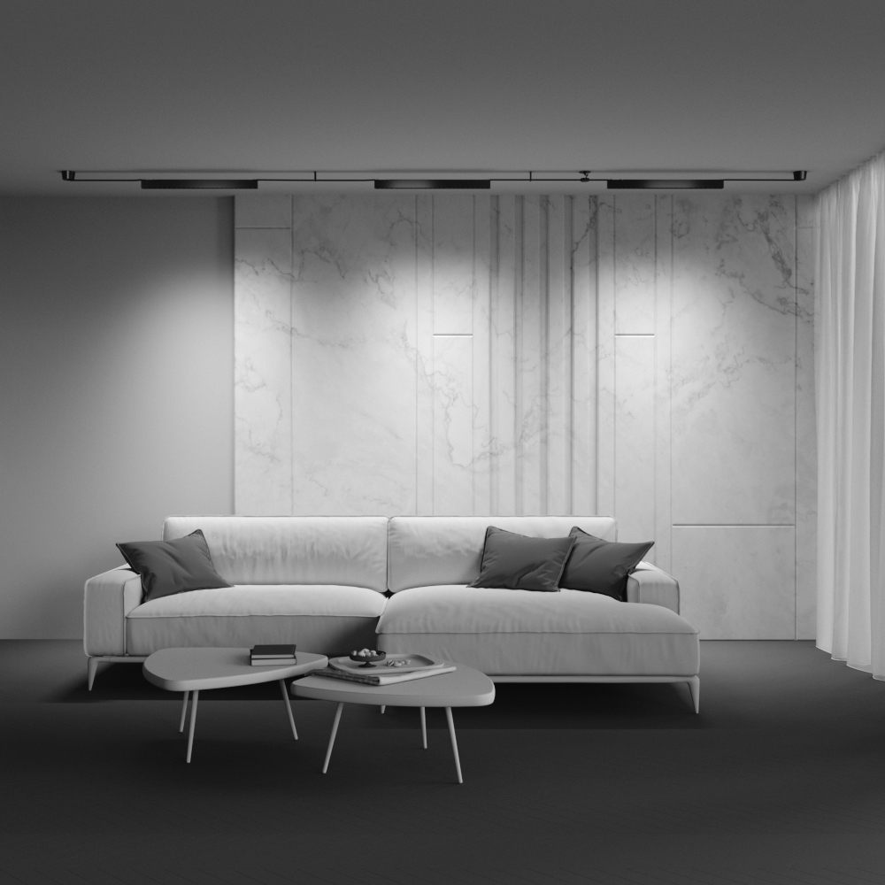 Трековый светильник Maytoni Points TR128B-24W3K-M-B