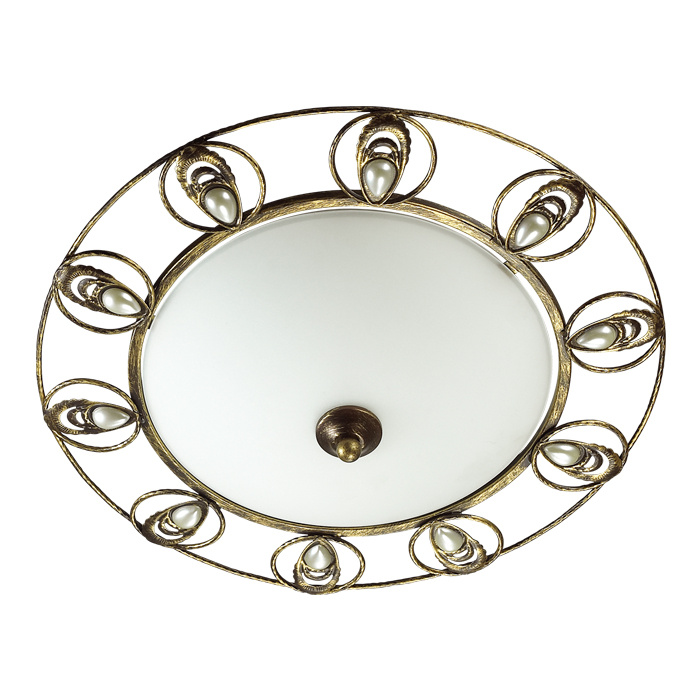 Потолочный светильник Odeon Light Kanti 3484/2C