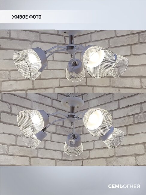 Потолочная люстра Wedo Light Donetella WD3518/5C-WT-CR-WT