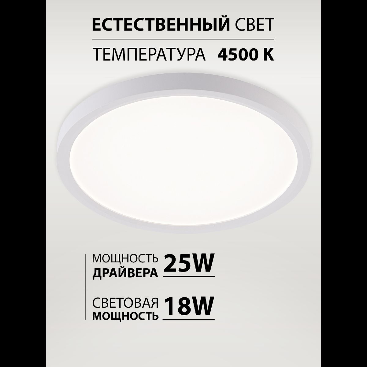 Потолочный светильник Natali Kovaltseva Plain LED LAMPS 81113/2C