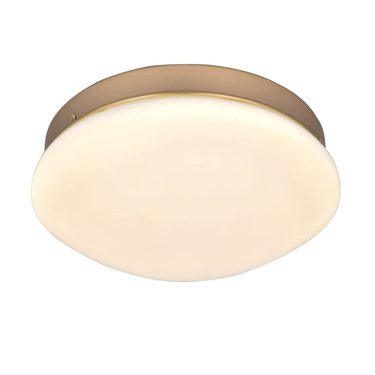 Потолочный светодиодный светильник F-Promo Ledante 2466-1C