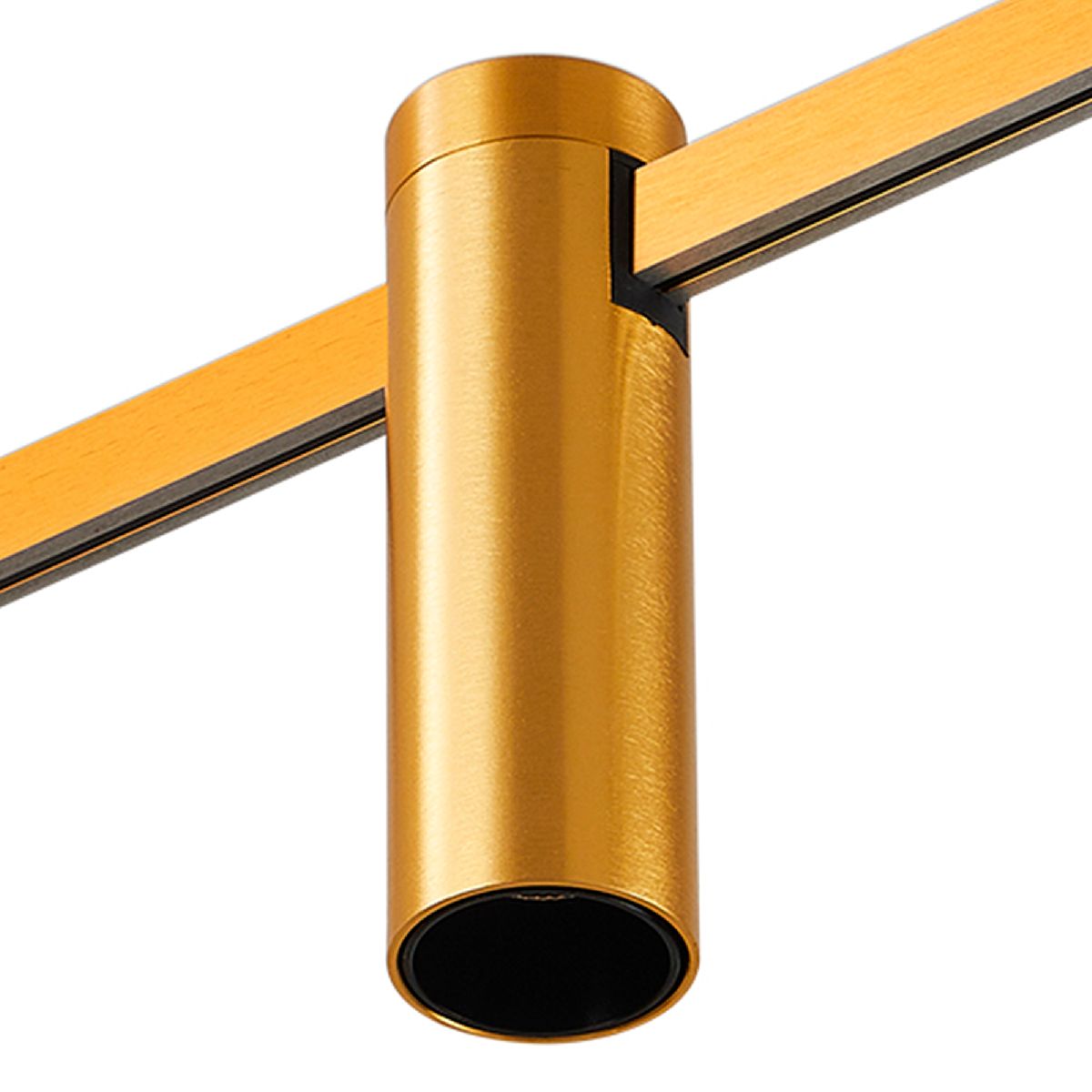 Магнитный трековый светильник ST Luce Farm ST810.206.05