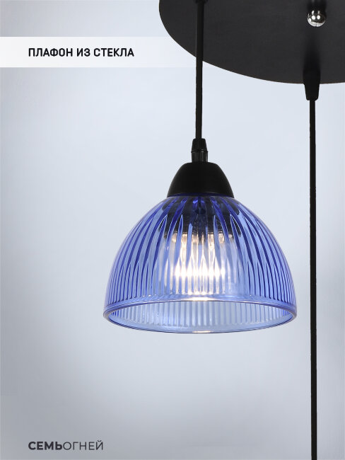 Подвесная люстра Wedo Light Dzhenis WD4004/3P-BK-BL