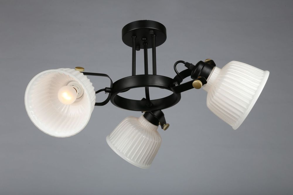 Потолочная люстра Omnilux OML-28207-03