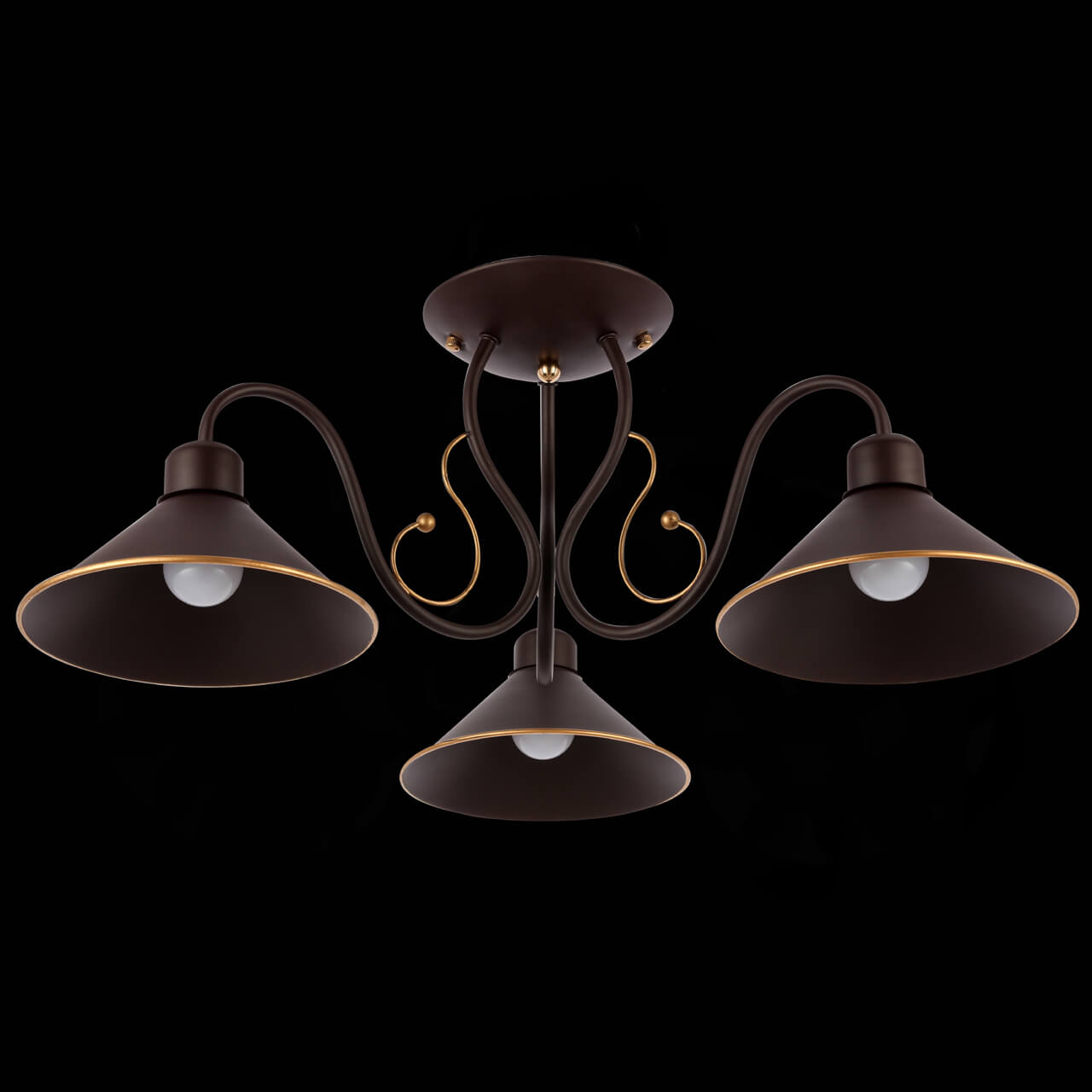 Потолочный светильник EVOLUCE CIOLLA SLE120402-03