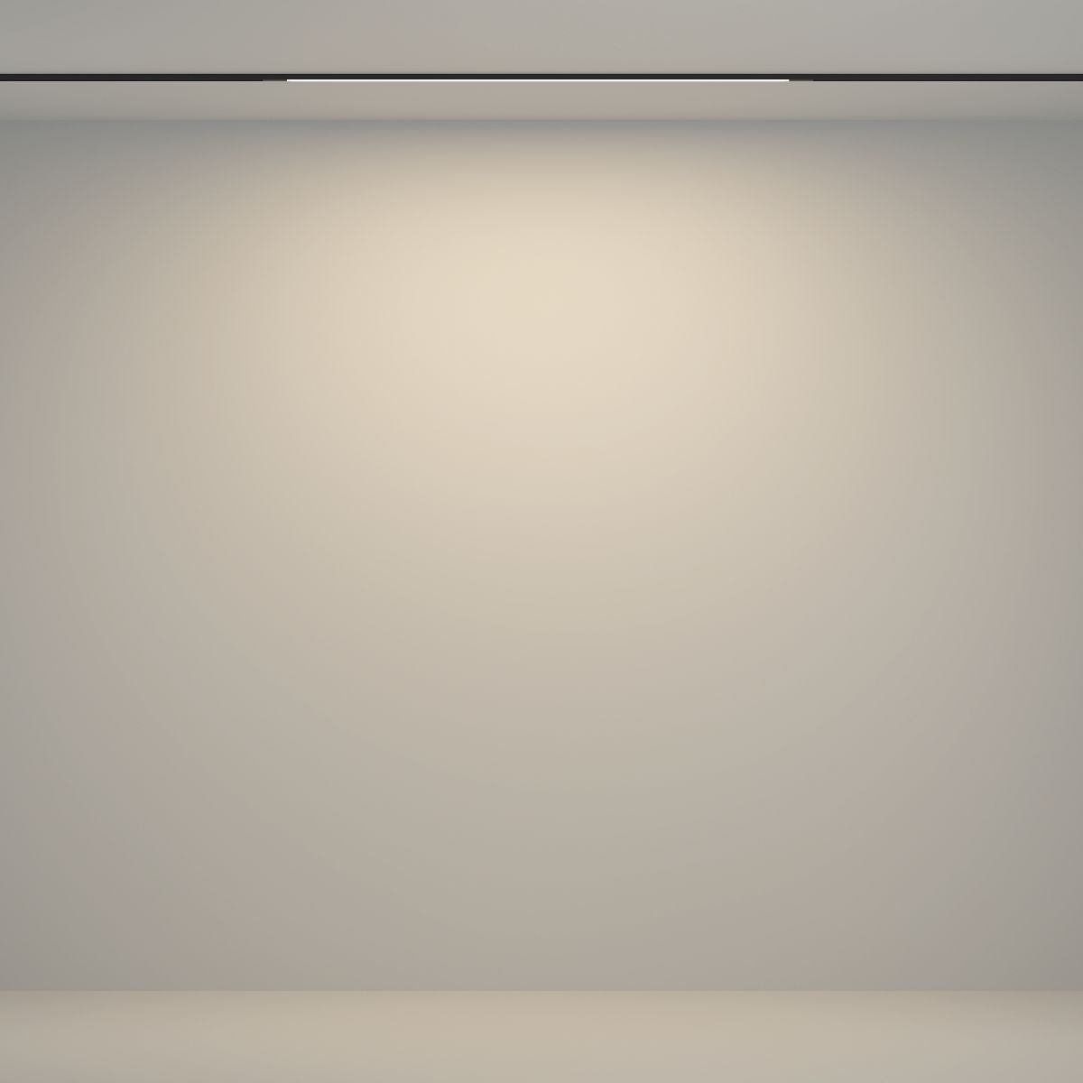 Трековый магнитный светильник Maytoni Flex TR180-1-12WTW-B