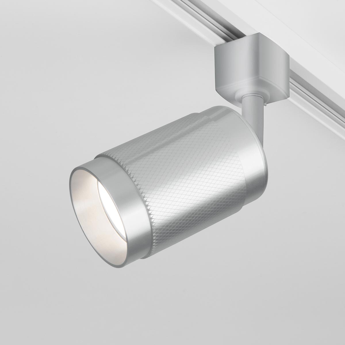Трековый светильник Elektrostandard Tony GU10 Серебро (MRL 1012) однофазный 4690389149634
