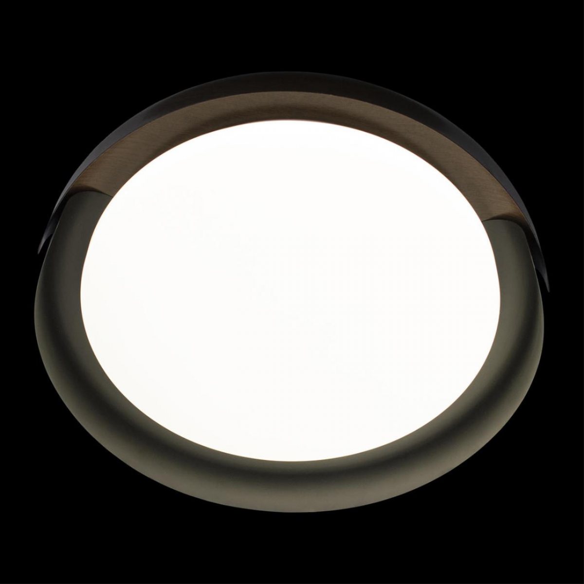 Потолочный светильник Loft IT Coin 10198 Black