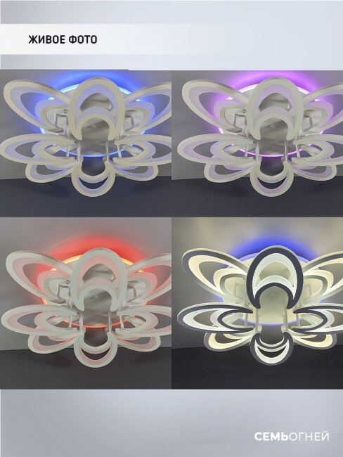 Потолочная люстра Wedo Light Ovaro 75333.01.09.08RGB