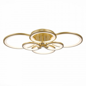 Потолочный светодиодный светильник Evoluce Intensity SLE900022-06