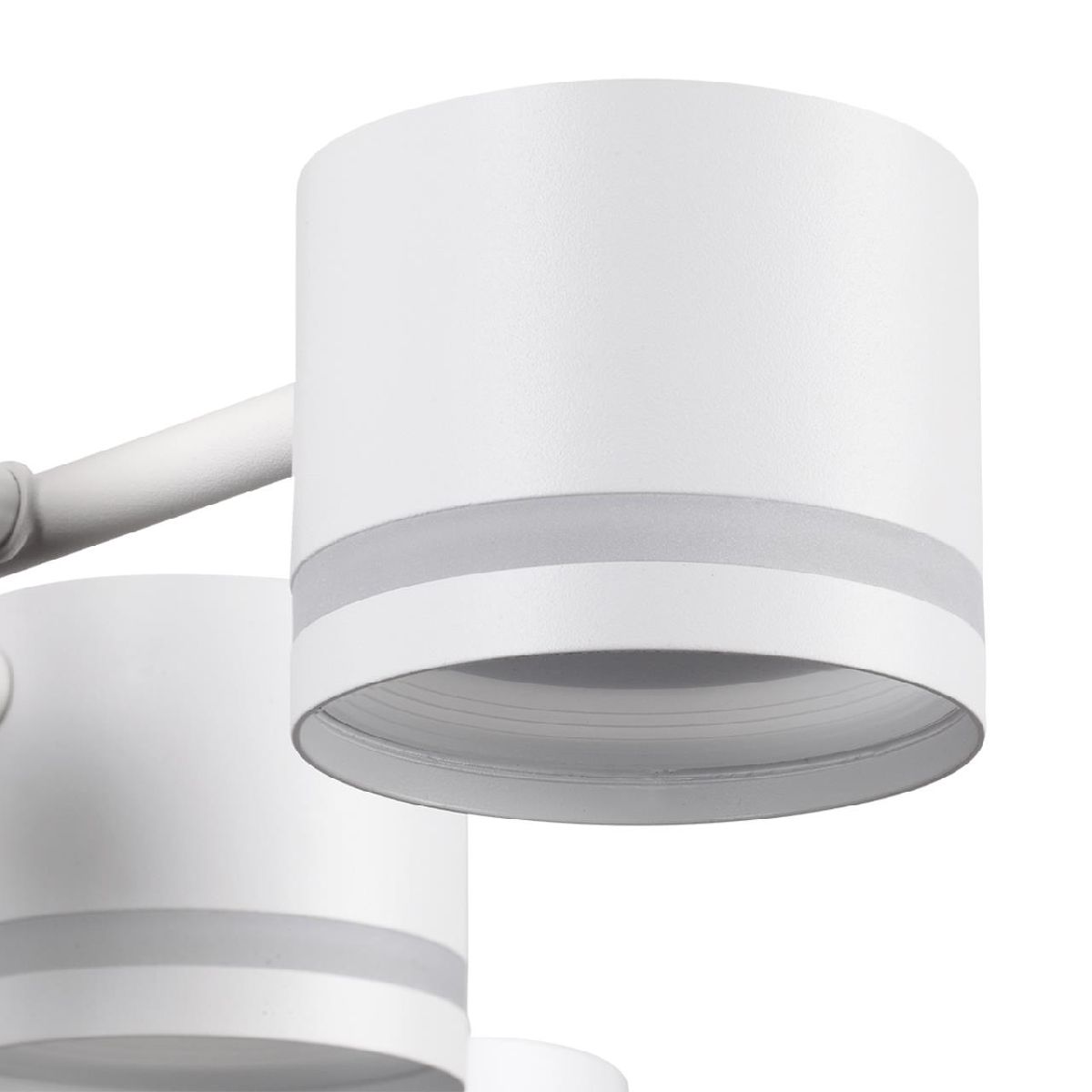 Потолочная люстра Lumion Gareta 8235/12C