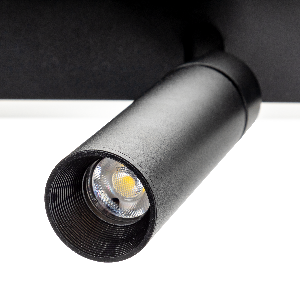 Потолочная люстра Ritter Lanterna 51602 0