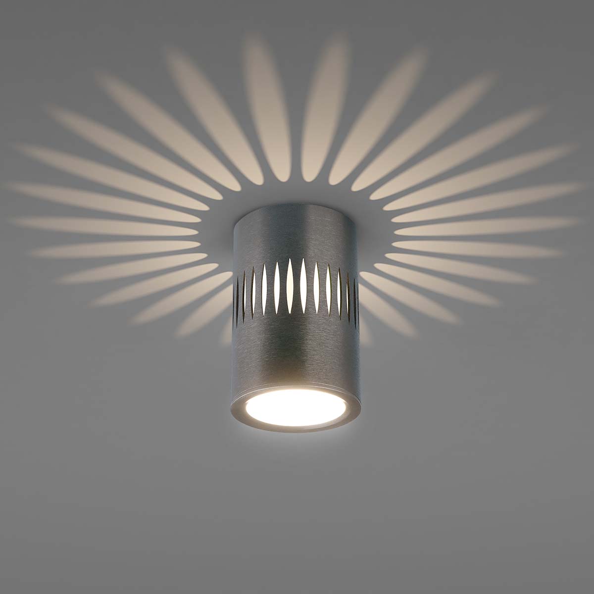 Накладной светильник Elektrostandard DLS025 4690389169786